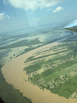 Monitorea gobierno de M&eacute;xico crecimiento del r&iacute;o P&aacute;nuco; al momento no representa riesgo: presidenta Claudia Sheinbaum