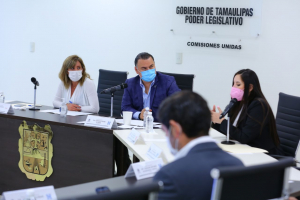 Avalan Comisiones propuesta para enfrentar afectaciones por sequ&iacute;as con un Plan de Reforestaci&oacute;n