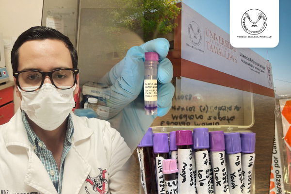 Estudia la UAT al par&aacute;sito que causa babesiosis en perros y su posible contagio a humanos