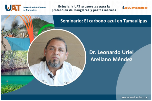 Estudia la UAT propuestas para la protecci&oacute;n de manglares y pastos marinos