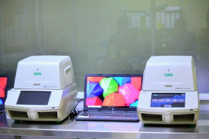 Suma Tamaulipas 123 nuevos casos de COVID-19