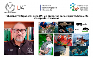 Trabaja UAT en el aprovechamiento de especies invasoras