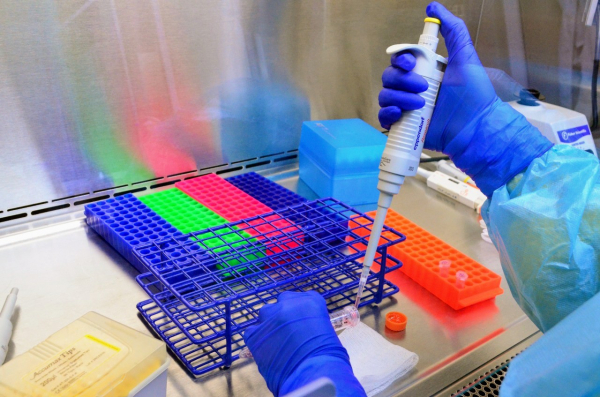 Suma pandemia de COVID-19 212 nuevos casos