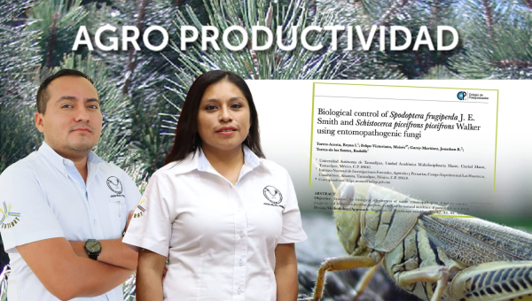 Destaca la UAT en investigaciones sobre el control biol&oacute;gico de plagas