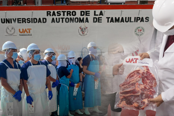 Rastro TIF de la UAT producir&aacute; carne para el mercado internacional