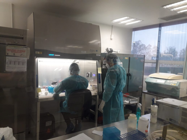 Indispensable reforzar medidas preventivas por COVID-19: Salud