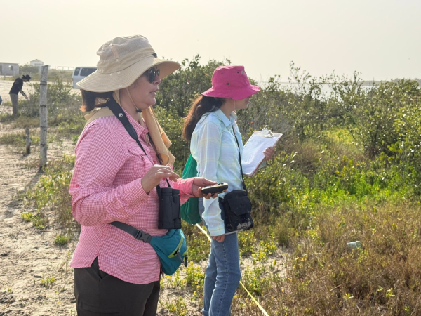 Colabora la UAT en la conservaci&oacute;n del mangle en el litoral tamaulipeco