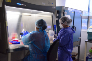 Reconocen aporte de los  Qu&iacute;micos de Tamaulipas  en la salud de la poblaci&oacute;n