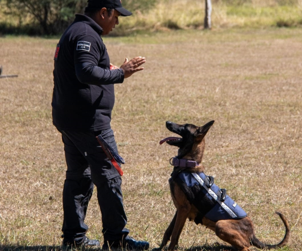 Estudiante de la UAT aporta su experiencia en adiestramiento canino al servicio comunitario