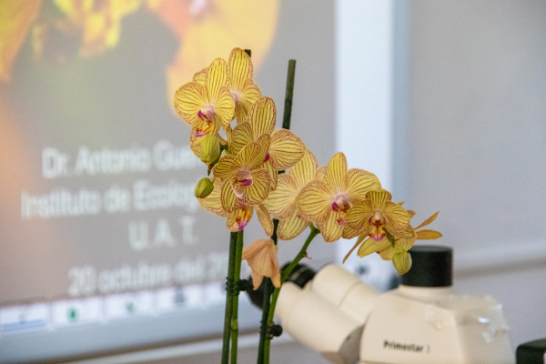 Promueve UAT el cultivo y conservaci&oacute;n de orqu&iacute;deas