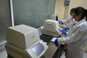 Pandemia de COVID-19 suma 67 nuevos contagios