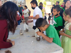 Fomenta UAT huertos ecol&oacute;gicos en escuelas primarias