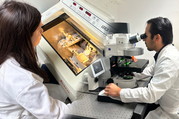 La UAT posiciona su liderazgo en investigaci&oacute;n con impacto social