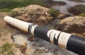 Intensifica Tamaulipas acciones para fortalecer la vigilancia ambiental