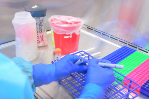 Medidas preventivas disminuyen probabilidad de brotes de COVID-19