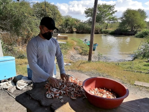 Tamaulipas promueve la mano  de obra calificada, con &eacute;l envi&oacute;  de m&aacute;s trabajadores al extranjero